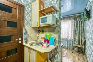 Апартаменты Апартаменты на улице Басенова, 45 Алматы Апартаменты-студио-3